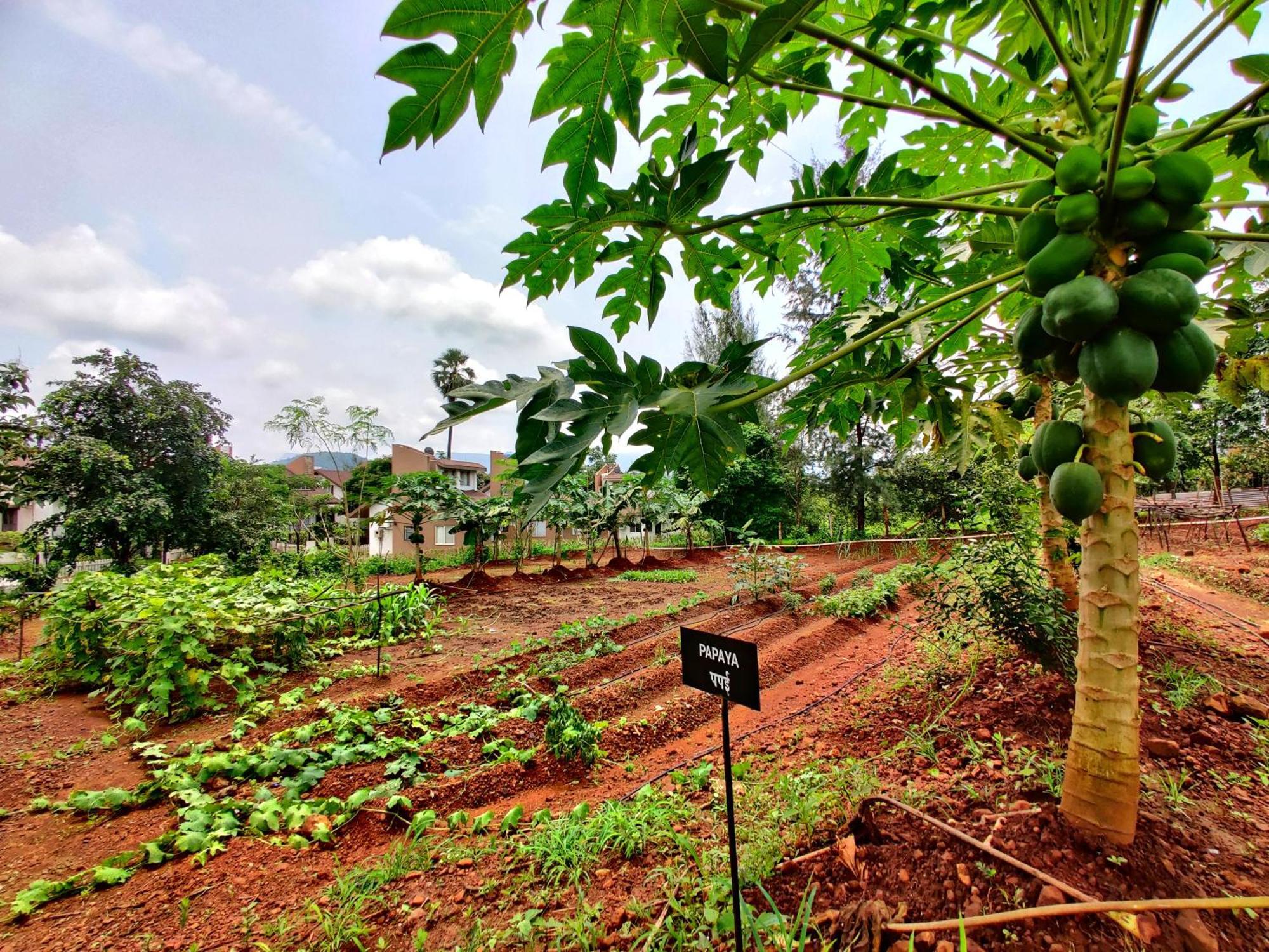 Pushpam Sanskruti Resort Karjat - A Pure Veg Resort Dhamni Εξωτερικό φωτογραφία