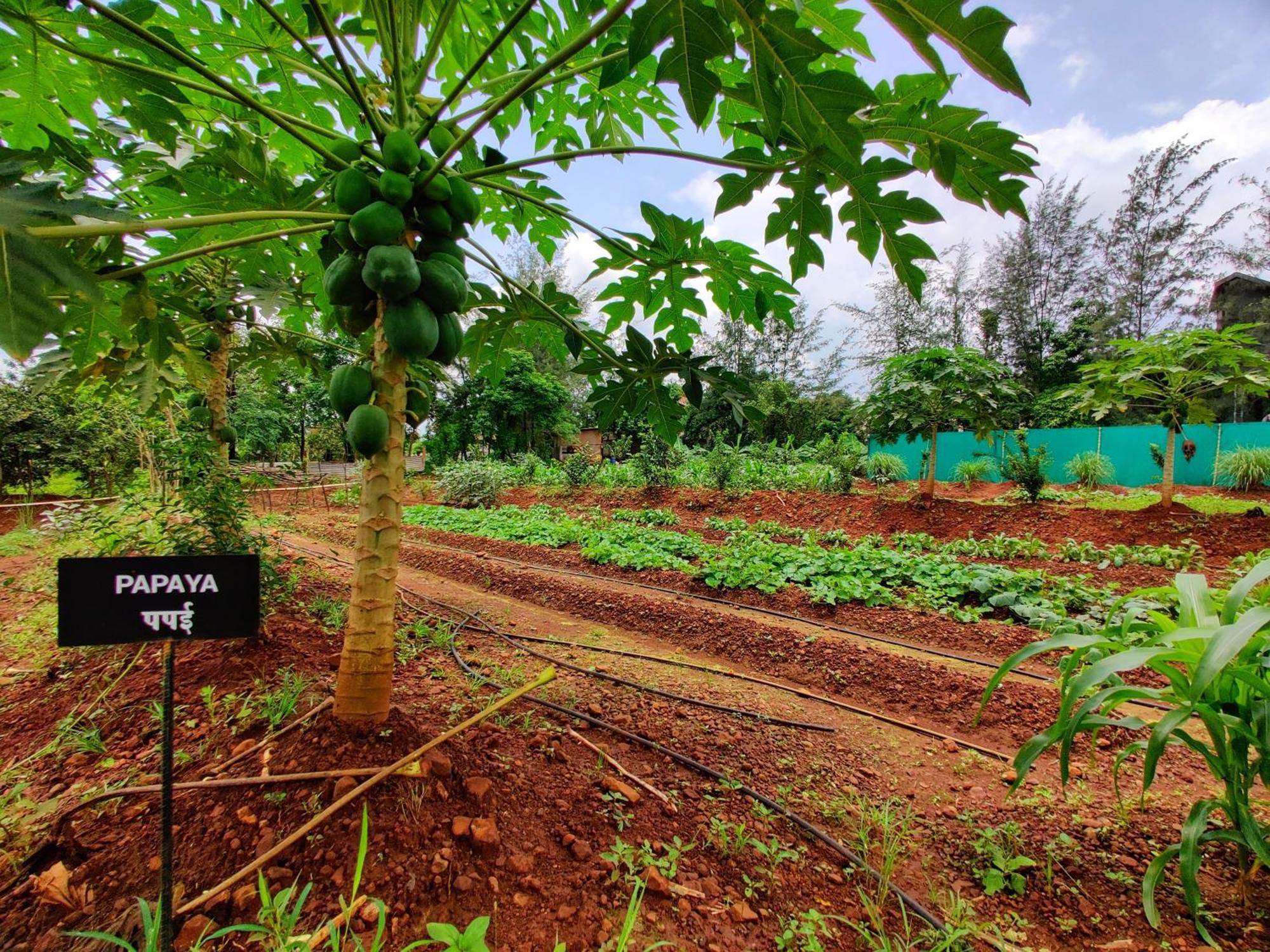Pushpam Sanskruti Resort Karjat - A Pure Veg Resort Dhamni Εξωτερικό φωτογραφία