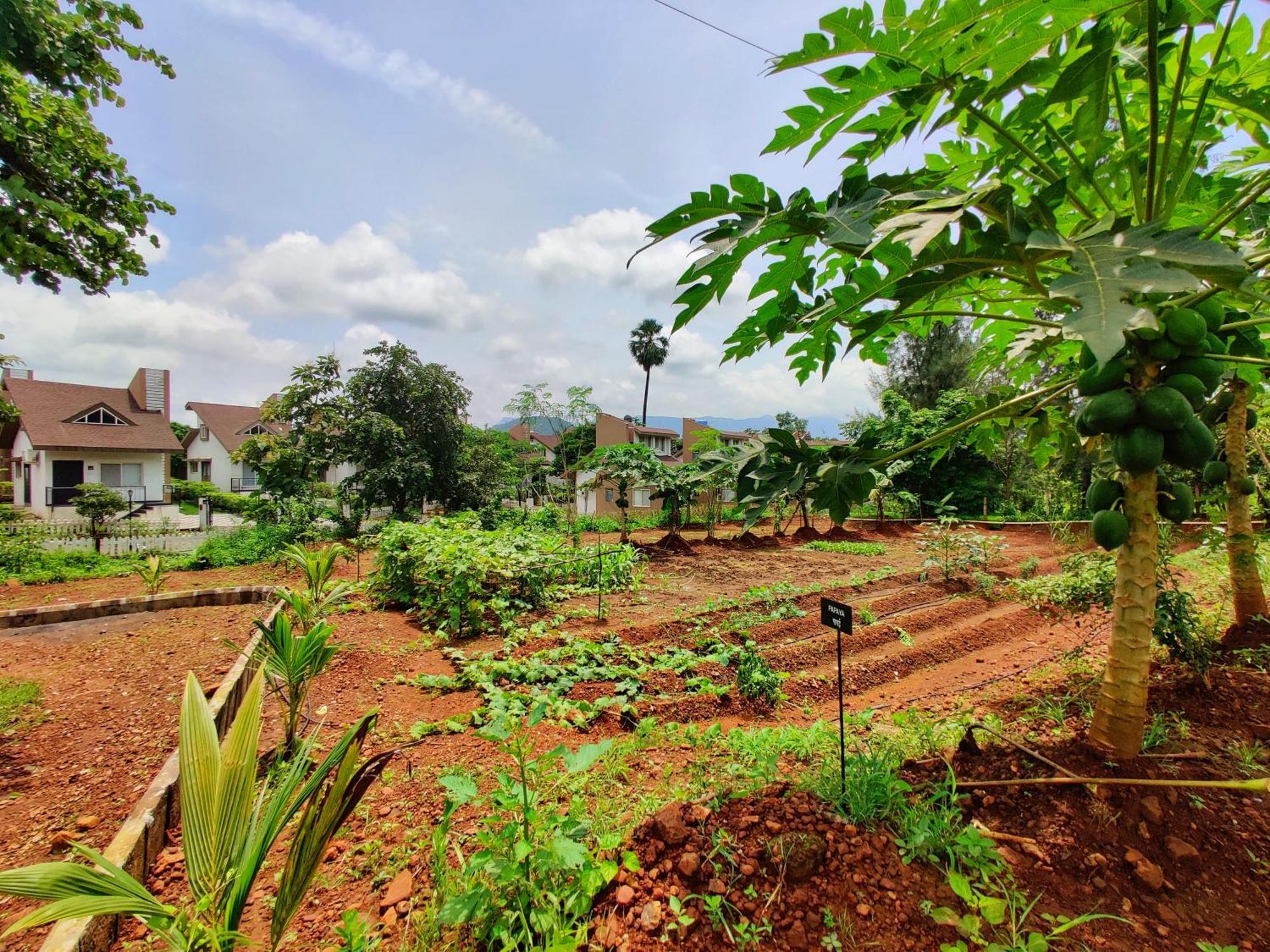 Pushpam Sanskruti Resort Karjat - A Pure Veg Resort Dhamni Εξωτερικό φωτογραφία